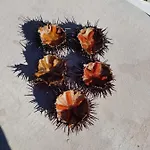 Stanza Privata Con Giardino Πανσιόν 4*