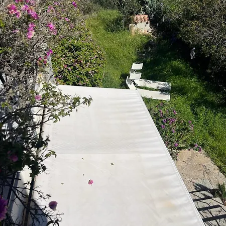 Stanza Privata Con Giardino Πανσιόν 4*
