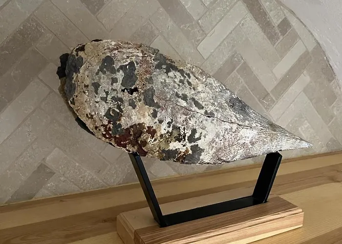 Stanza Privata Con Giardino