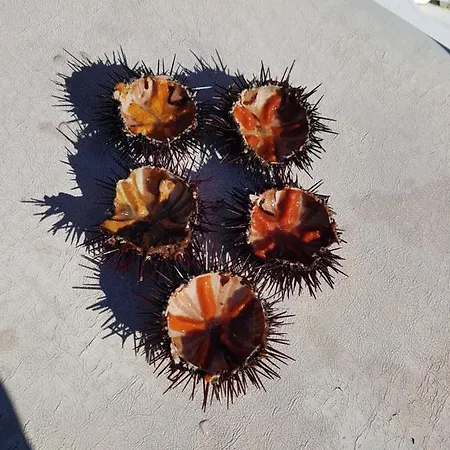 Stanza Privata Con Giardino Gæstehus 4*