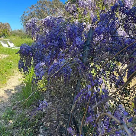 Stanza Privata Con Giardino