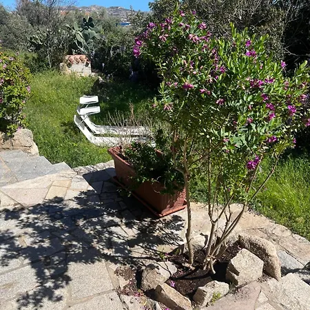 Guest house Stanza Privata Con Giardino La Maddalena (Sassari)