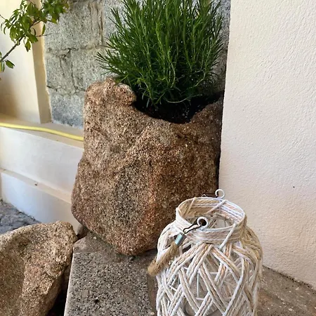 Stanza Privata Con Giardino Guest house La Maddalena (Sassari)