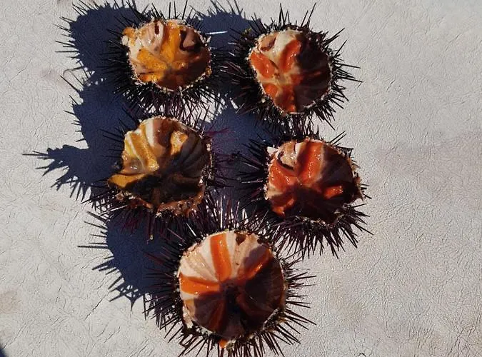 Stanza Privata Con Giardino Penzion 4*