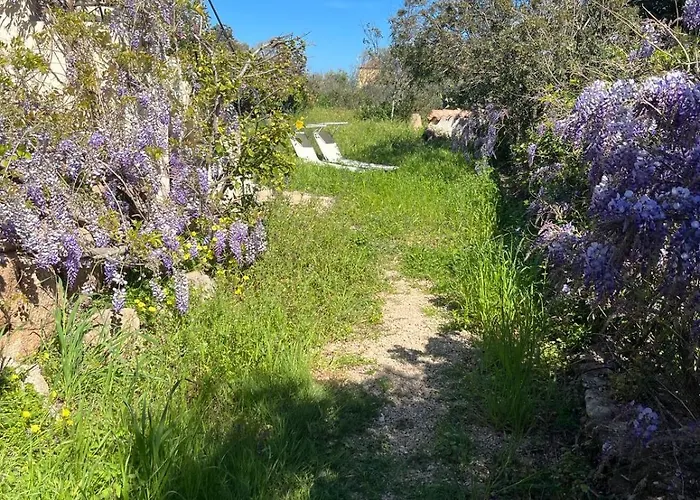 Stanza Privata Con Giardino Penzion 4*