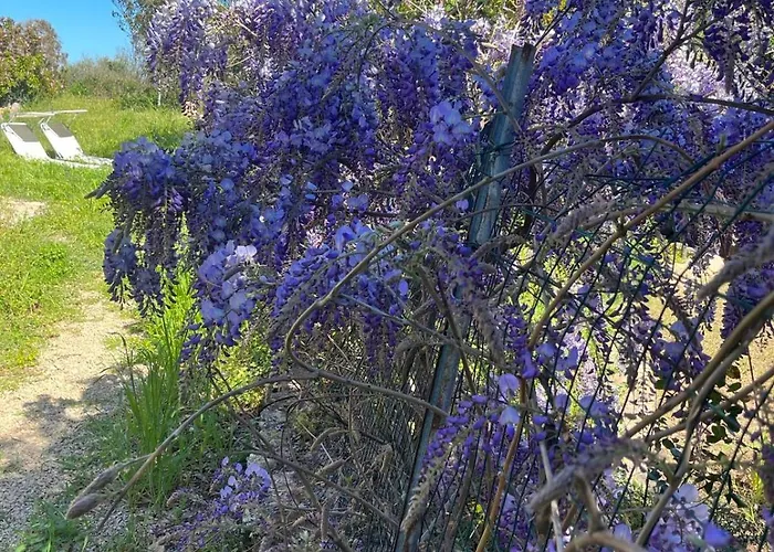 Stanza Privata Con Giardino